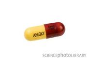Generic Amoxicillin Antibiotics