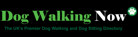 How to Become a Dog Walker 